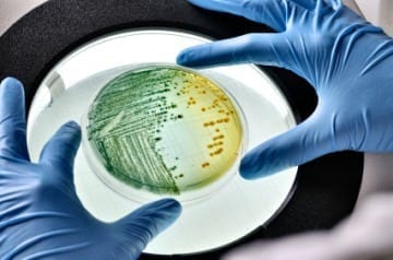 Risk Assessment for L8,HSG274 and BS8580