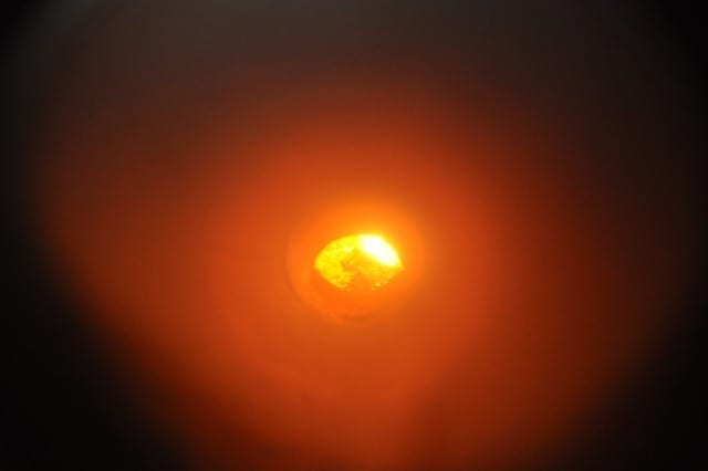 biomass glow